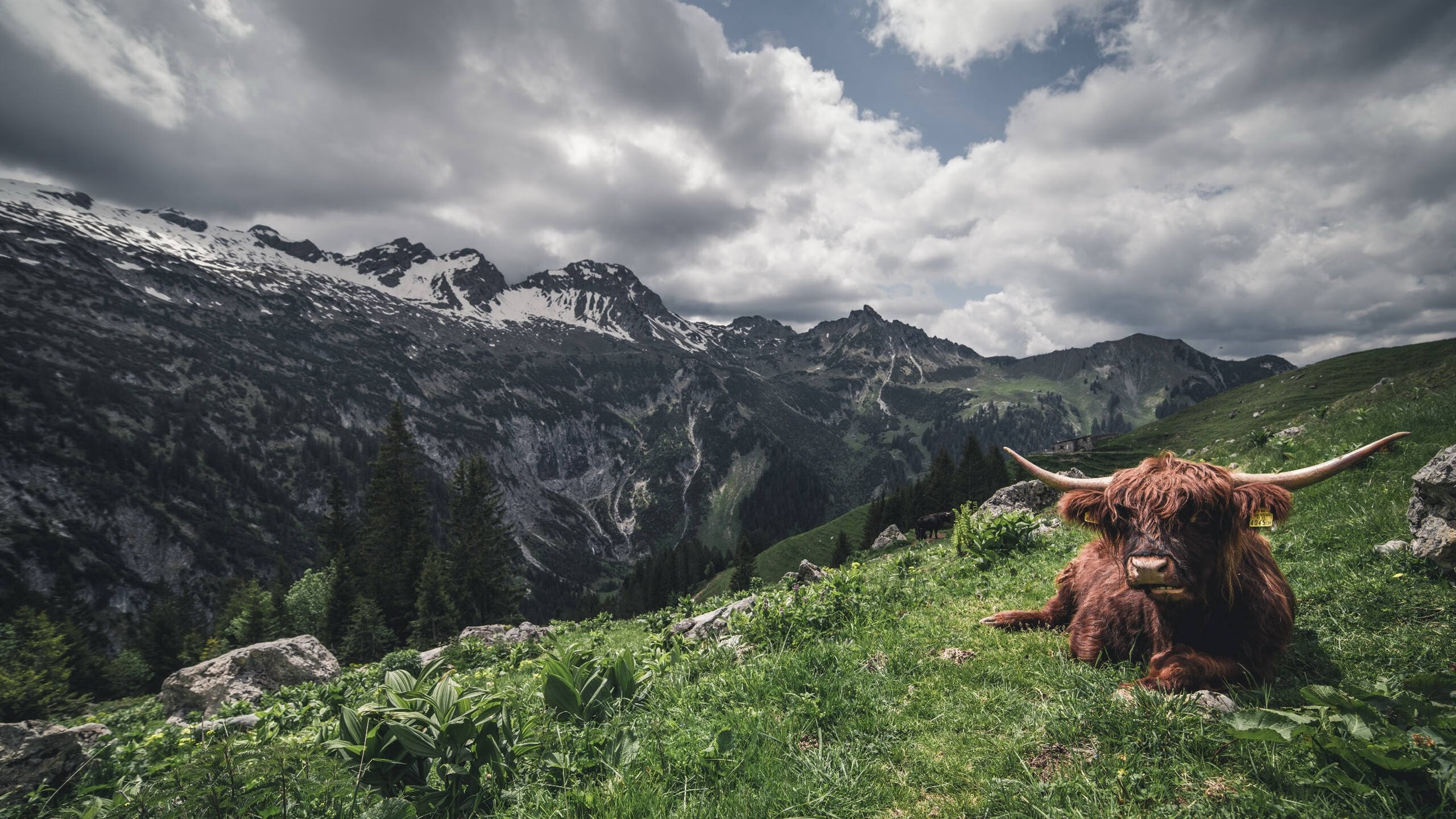 九游登录入口-“未来中国足球的重点发展方向初现眉目”,中国足球的未来在哪里