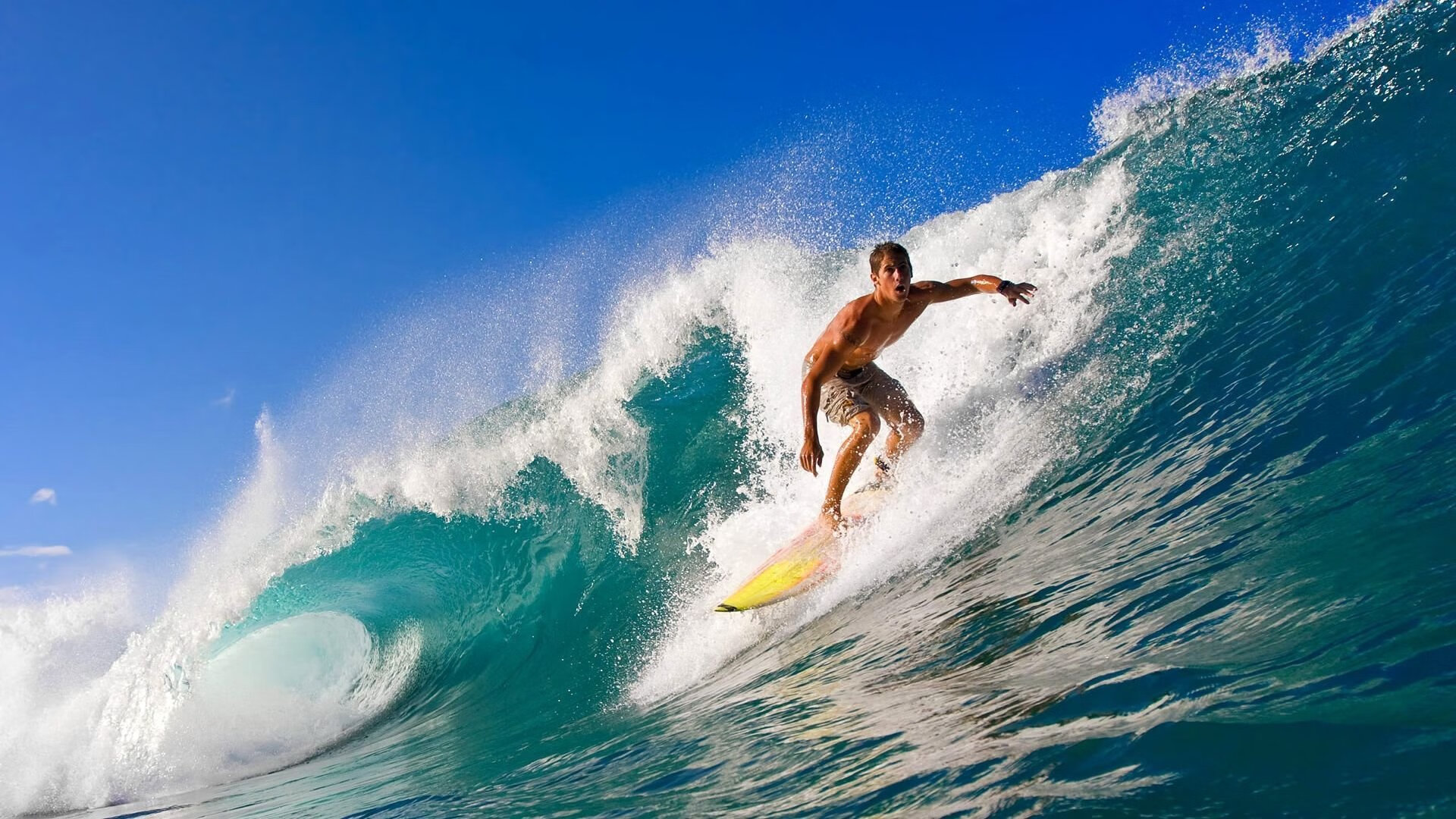 9游电竞站-女子排球国家队迎来新一轮选拔，女子排球近况